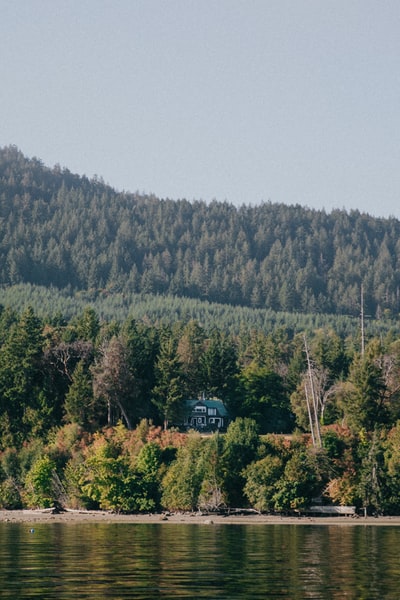 湖边的蓝色房子被高大的绿树环绕